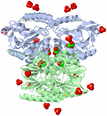 Image Biological Unit 3