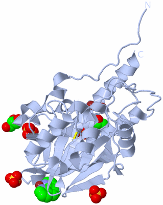 Image Biological Unit 1