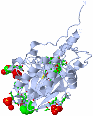 Image Biol. Unit 1 - sites