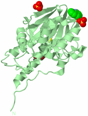 Image Biological Unit 2