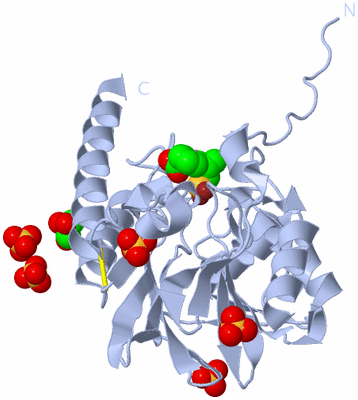 Image Biological Unit 1