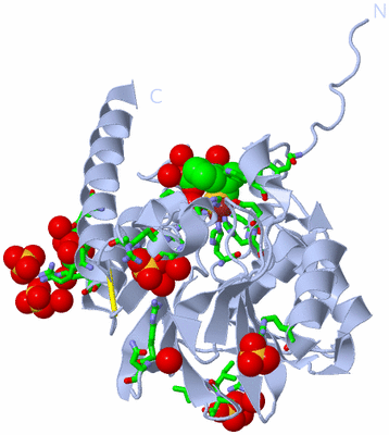 Image Biol. Unit 1 - sites