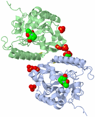 Image Biological Unit 3