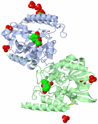 Image Biological Unit 4