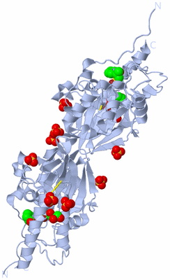 Image Biological Unit 5