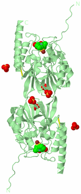 Image Biological Unit 6