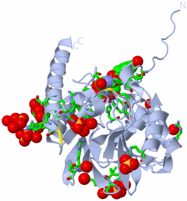 Image Biol. Unit 1 - sites