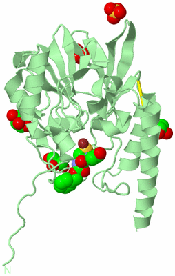 Image Biological Unit 2