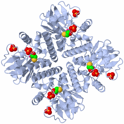 Image Biological Unit 1