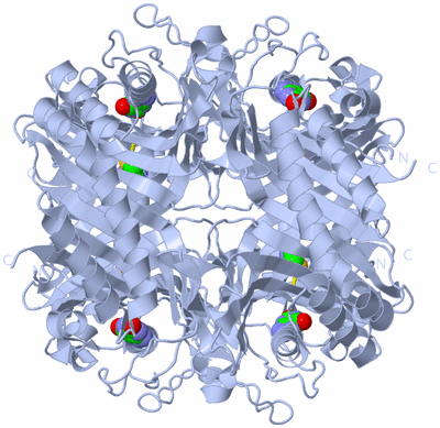 Image Biological Unit 1