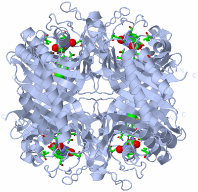 Image Biol. Unit 1 - sites