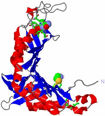 Image Asym. Unit - sites