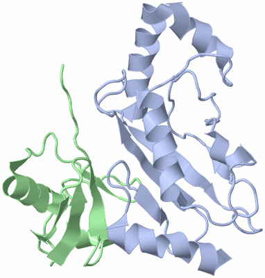 Image NMR Structure - model 1