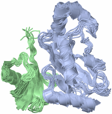 Image NMR Structure - all models