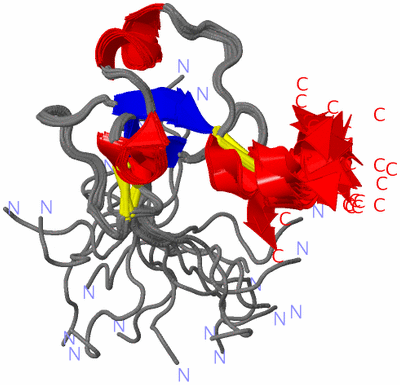 Image NMR Structure - all models