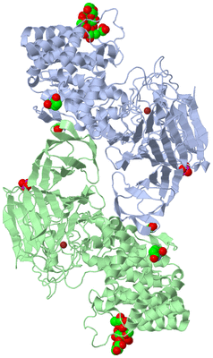 Image Asym./Biol. Unit