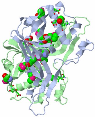 Image Asym./Biol. Unit - sites