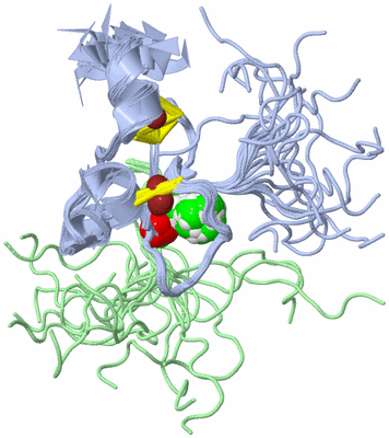 Image NMR Structure - all models