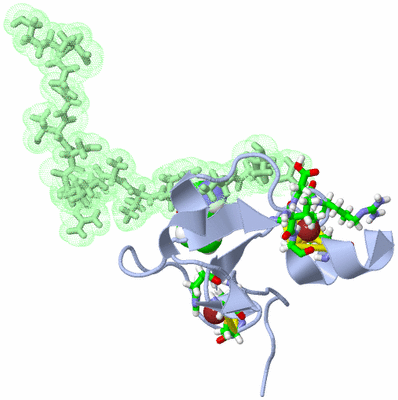 Image NMR Structure - model 1, sites