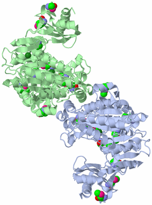 Image Asym./Biol. Unit