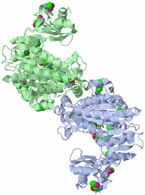 Image Asym./Biol. Unit - sites