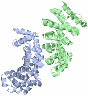 Image Biological Unit 1