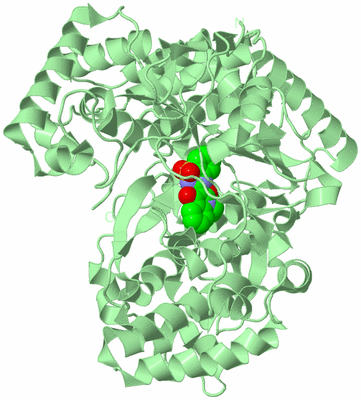 Image Biological Unit 2