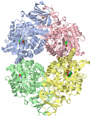 Image Asym./Biol. Unit