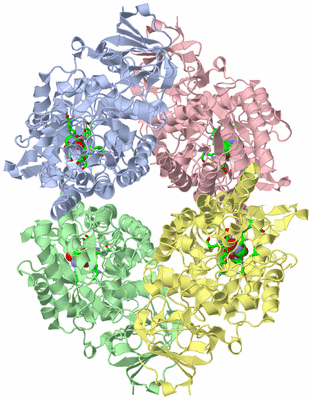 Image Asym./Biol. Unit - sites