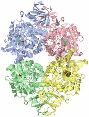 Image Asym./Biol. Unit