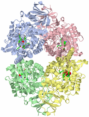 Image Asym./Biol. Unit - sites