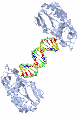 Image Biological Unit 1