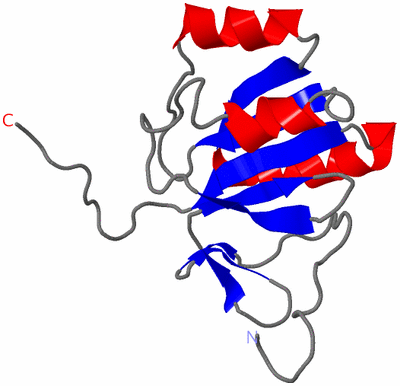 Image NMR Structure - model 1