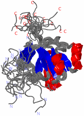 Image NMR Structure - all models