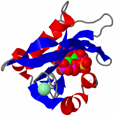 Image Asym./Biol. Unit