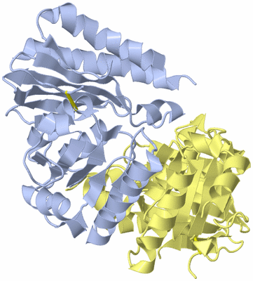 Image Biological Unit 1