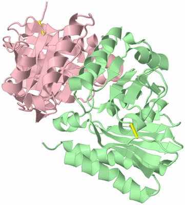 Image Biological Unit 2