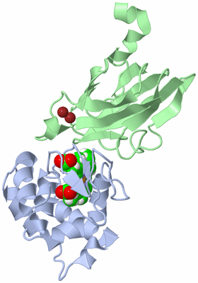 Image NMR Structure - model 1