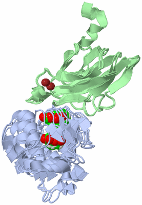 Image NMR Structure - all models