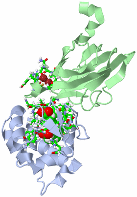 Image NMR Structure - model 1, sites