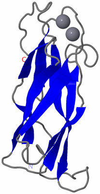 Image NMR Structure - model 1