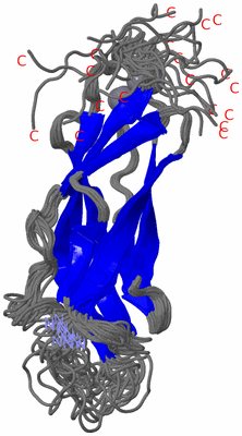 Image NMR Structure - all models