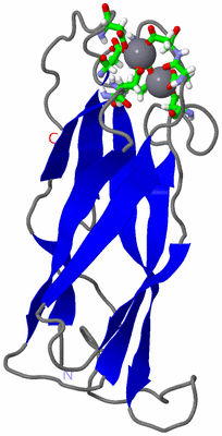 Image NMR Structure - model 1, sites