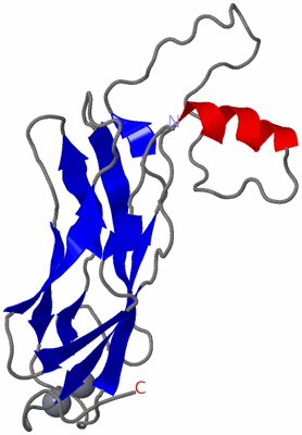 Image NMR Structure - model 1