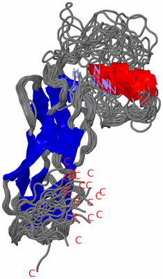 Image NMR Structure - all models