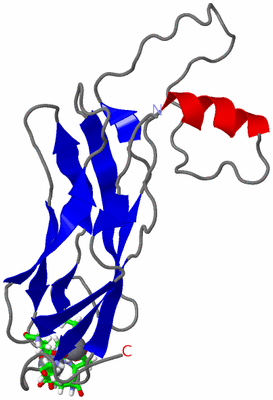 Image NMR Structure - model 1, sites