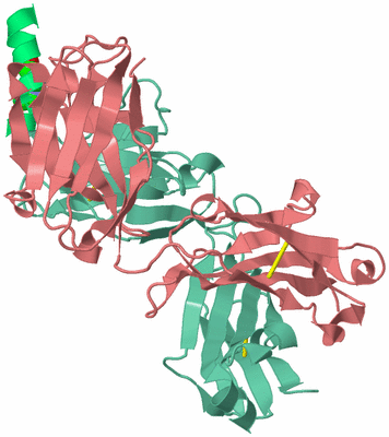 Image Biological Unit 1