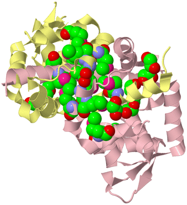 Image Biological Unit 2