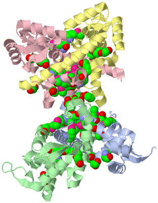 Image Biological Unit 3