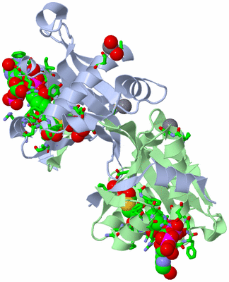 Image Biol. Unit 1 - sites